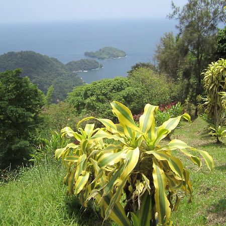 Mahogany Ridge Hotell Arouca Eksteriør bilde