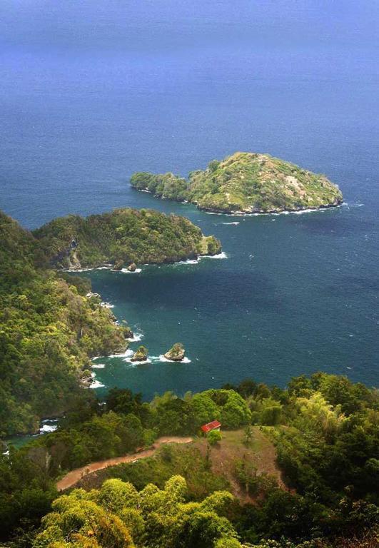 Mahogany Ridge Hotell Arouca Eksteriør bilde