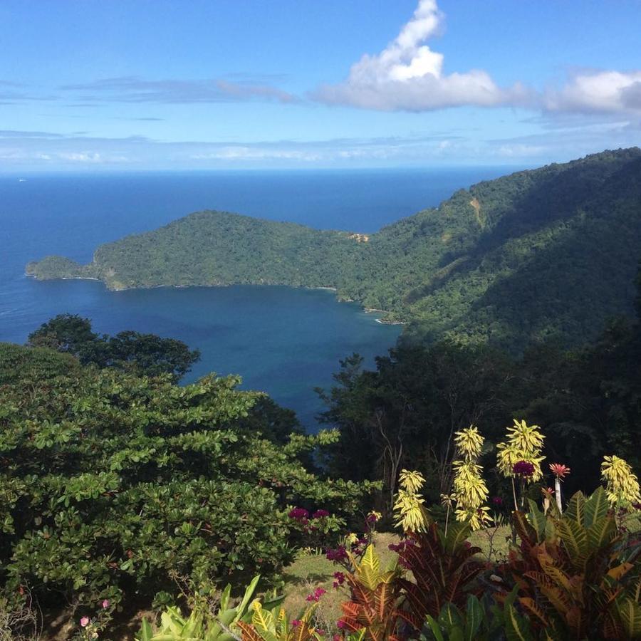 Mahogany Ridge Hotell Arouca Eksteriør bilde