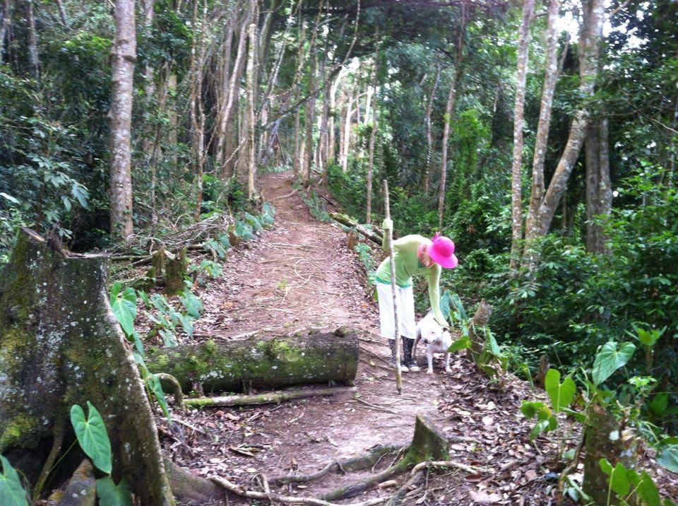 Mahogany Ridge Hotell Arouca Eksteriør bilde