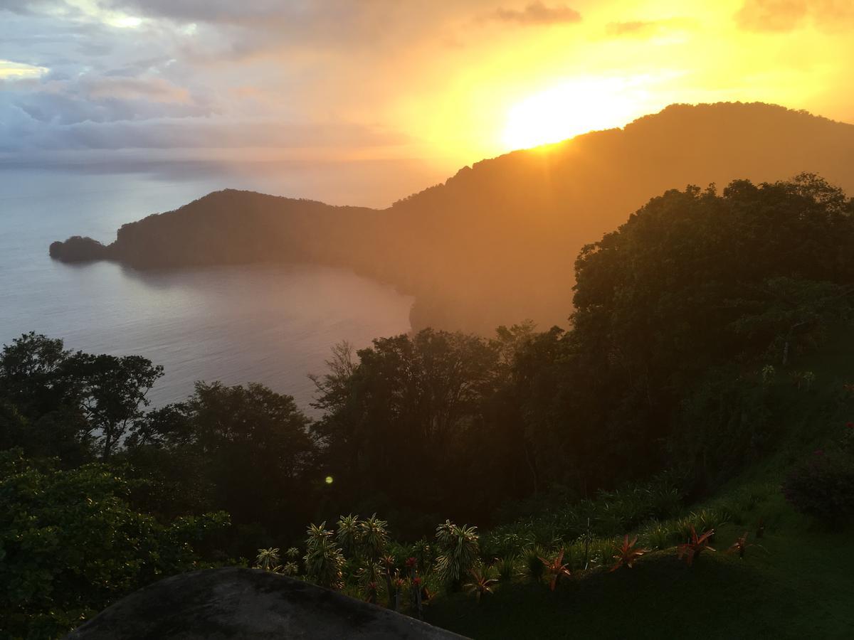 Mahogany Ridge Hotell Arouca Eksteriør bilde