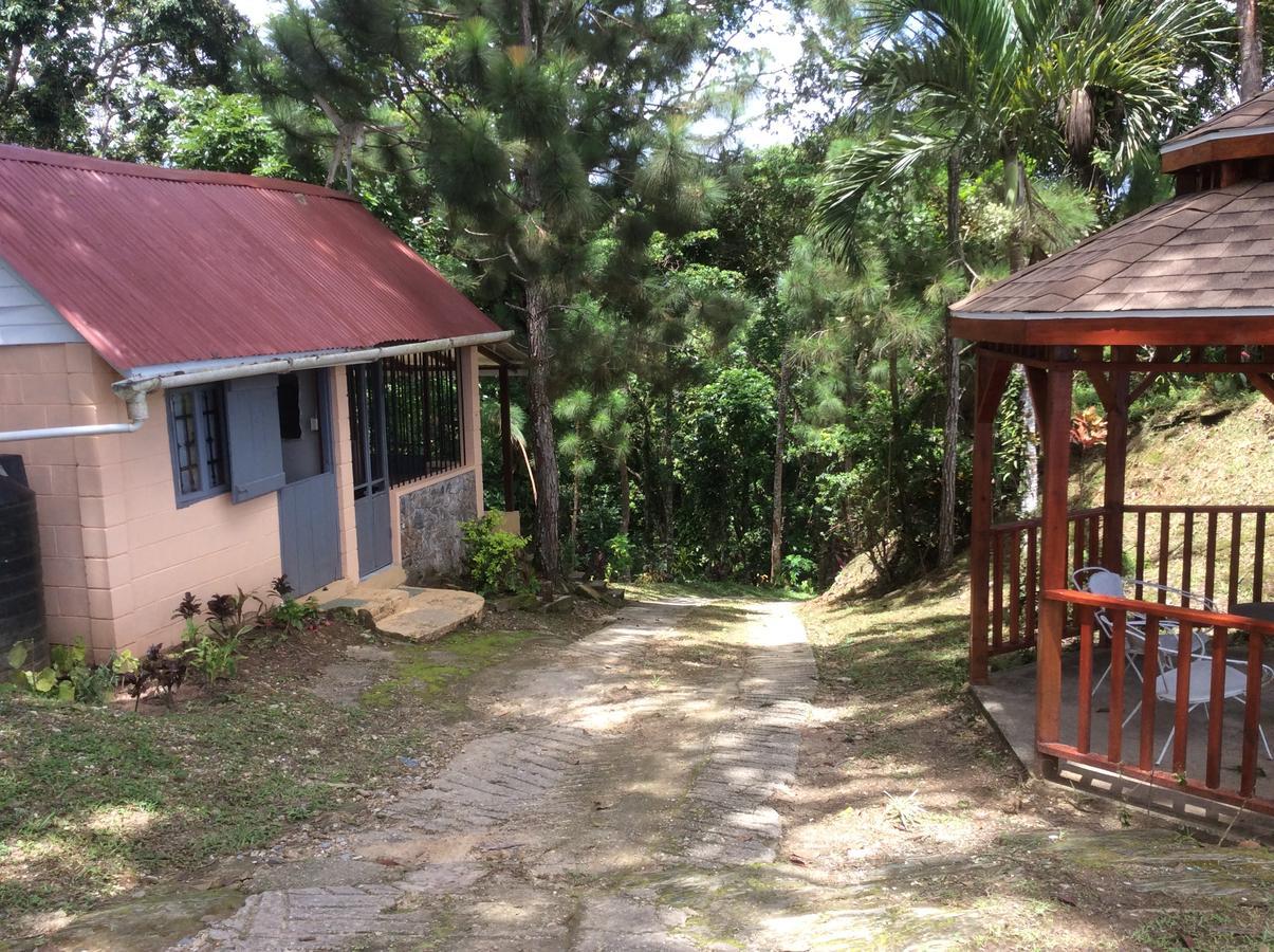 Mahogany Ridge Hotell Arouca Eksteriør bilde